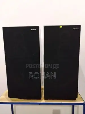 Pioneer Speaker