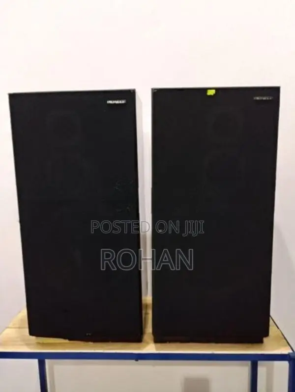 Pioneer Speaker