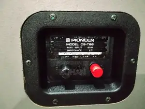 Pioneer Speaker
