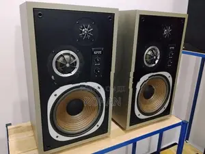 Pioneer Speaker