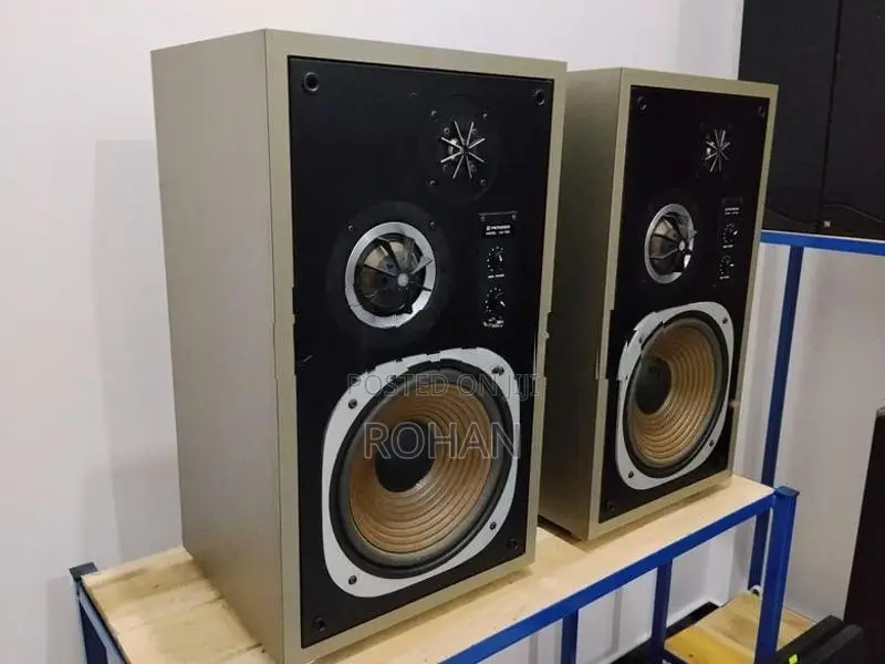 Pioneer Speaker