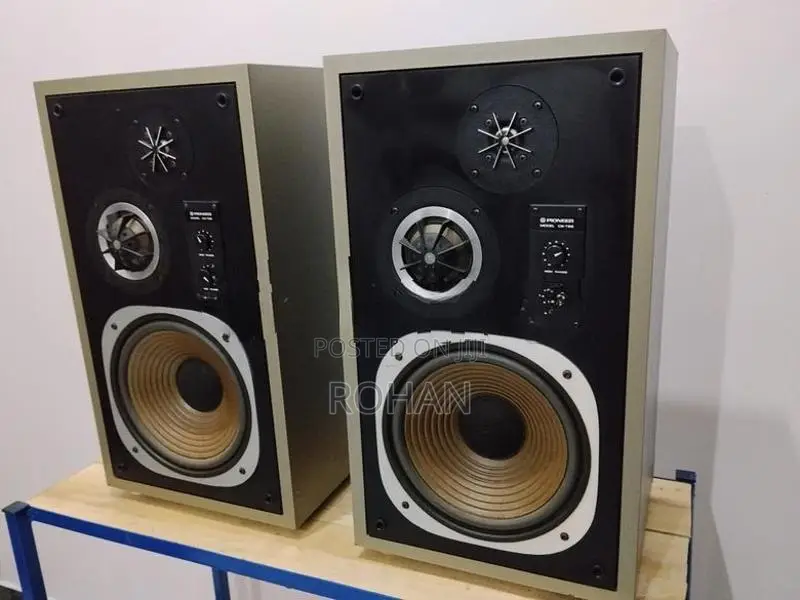 Pioneer Speaker
