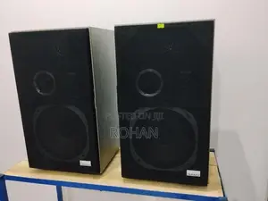 Pioneer Speaker