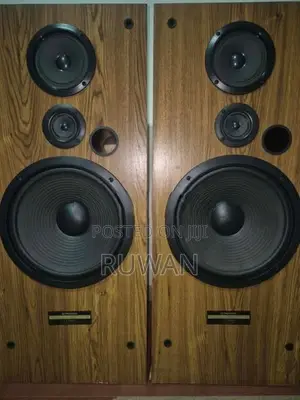 Pioneer Speakers