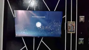 Wisdom 55 Inch UHD TV