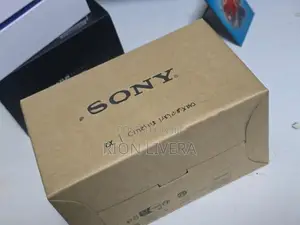 Sony FX30