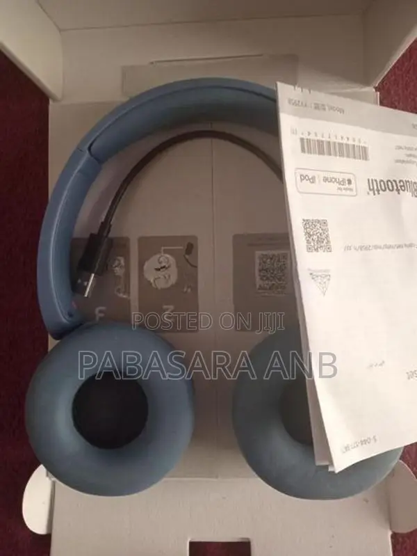 Sony Headset