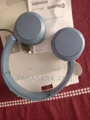 Sony Headset