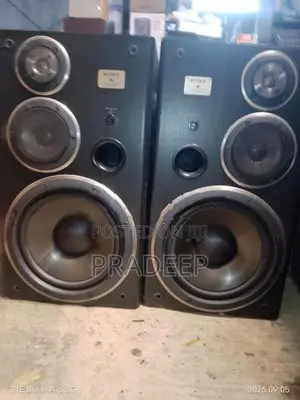 Sony Buffle Set
