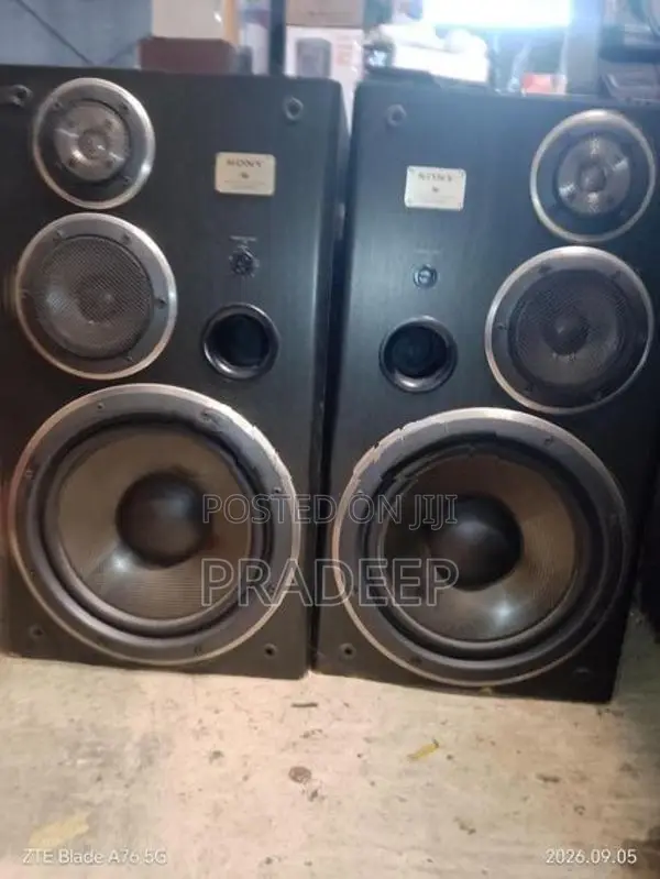 Sony Buffle Set