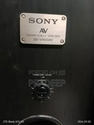 Sony Buffle Set