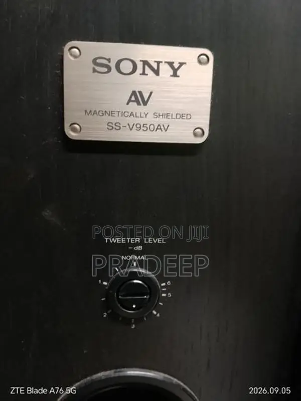 Sony Buffle Set