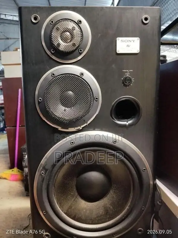 Sony Buffle Set