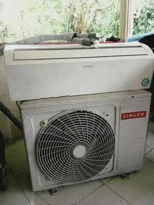 Singer