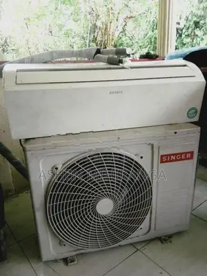 Singer