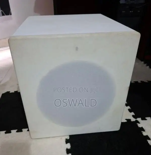 FBT Project 1020SA Active Subwoofer