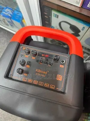 KTS 2462 Party Box With Wireless MIC