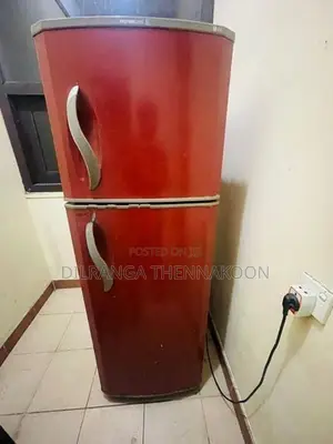 Express Cool LG Refrigerator