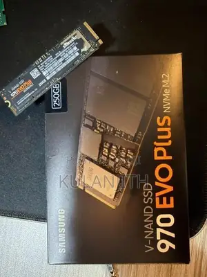 Samsung EVO Plus NVMe 250GB M.2