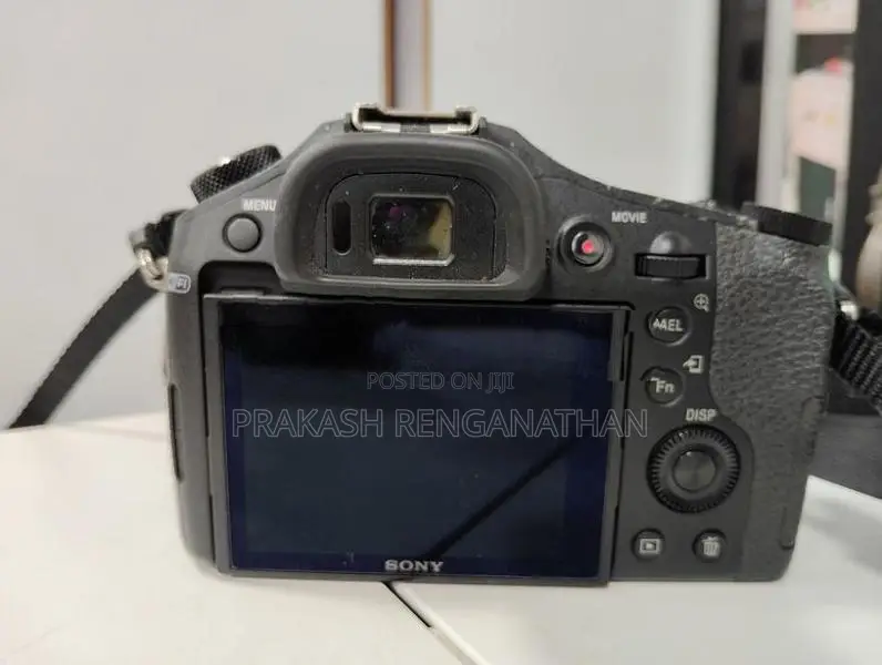 Sony Rx10