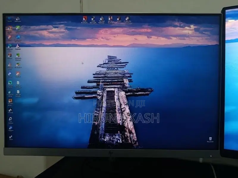 HP E243i 24" IPS Monitor