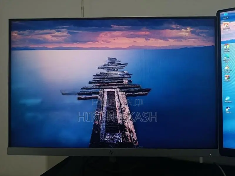 HP E243i 24" IPS Monitor