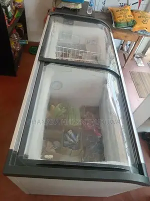 Bottle Cooler with Defreezer