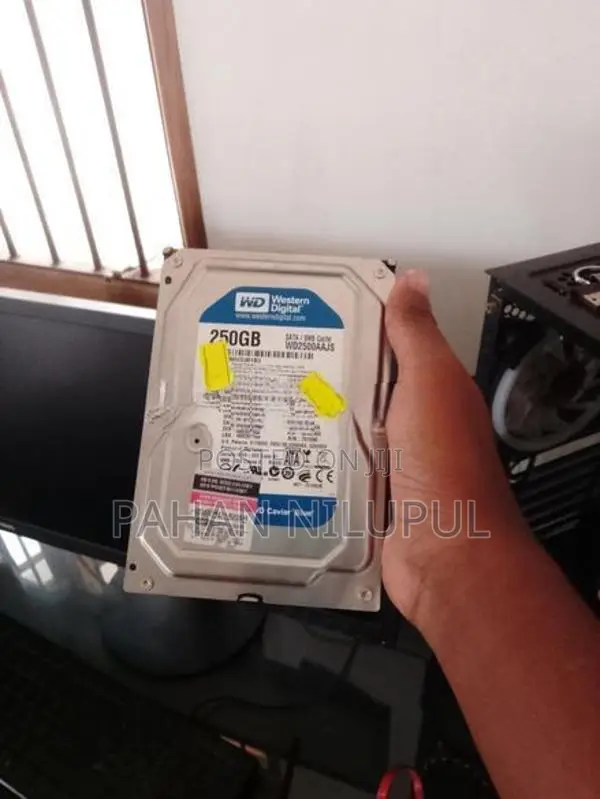 250GB Hard Disk