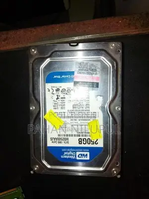 250GB Hard Disk