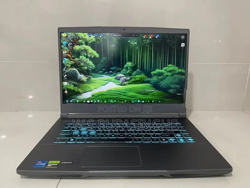 MSI i7 13th GEN Laptop