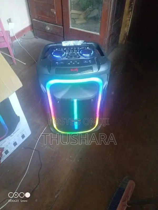 Panomax J1507 Blue Tooth Speaker