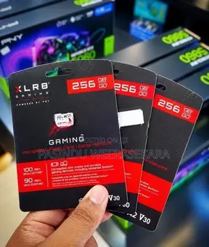 PNY XLR8 256GB Gaming SD Cards