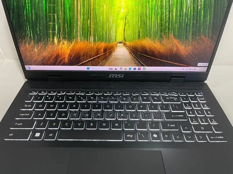 MSI i7 14th GEN Laptop