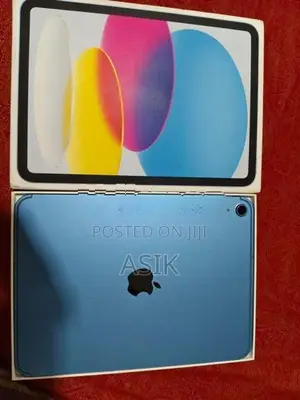 Apple iPad A16 Wifi/Cellular