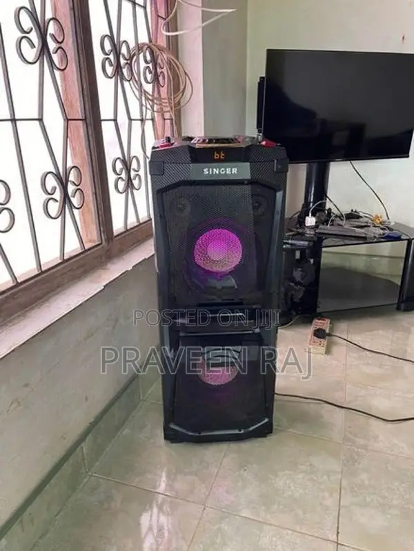 Singer Sound System