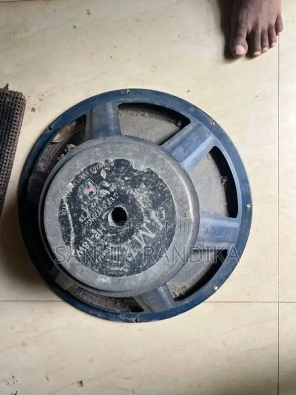 අගල් 18 බින් ස්පීකර්