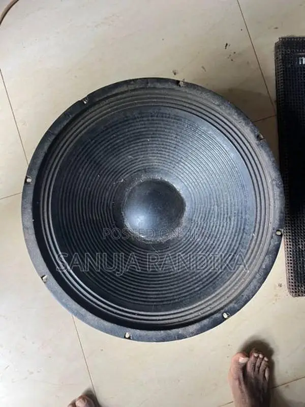 අගල් 18 බින් ස්පීකර්