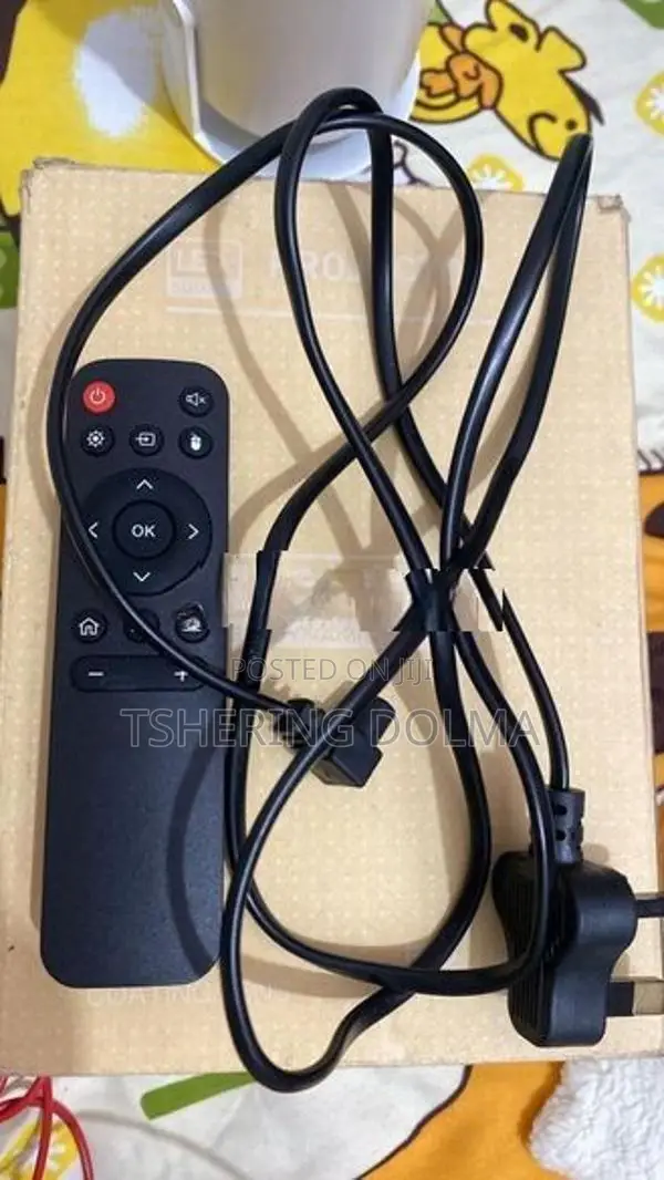 Portable Projector