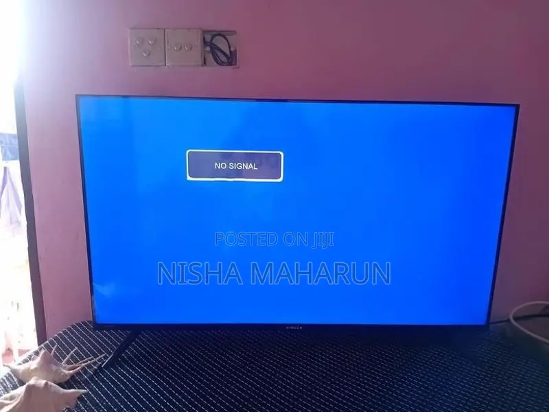 Singer 40 Inch TV With Box Remote