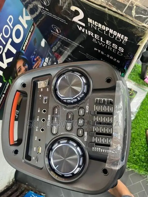 Party Speaker
