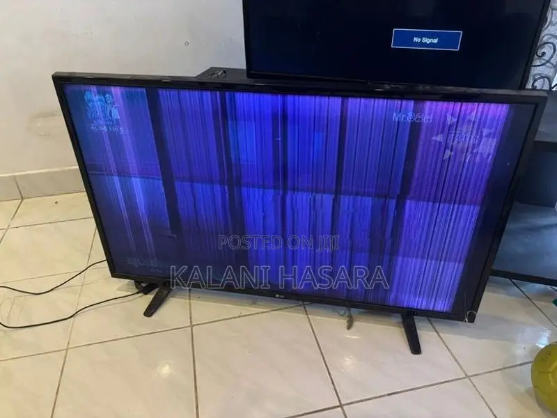 LG 43 LED TV Display Problem
