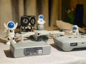 DJI Mini 2 SE