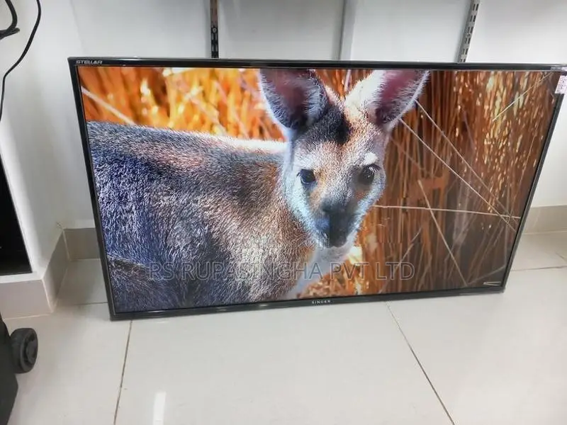 Singer 43inch LED TV