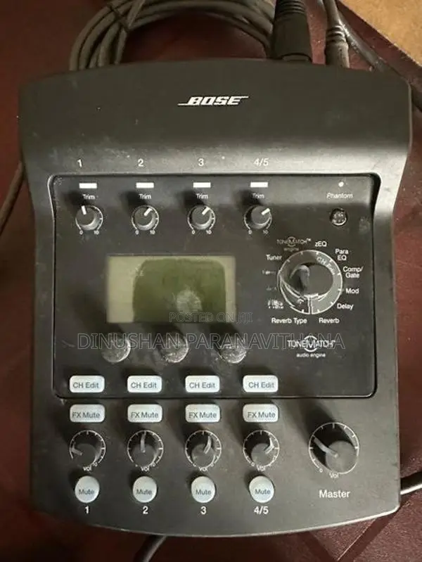 Bose L1 Model II System