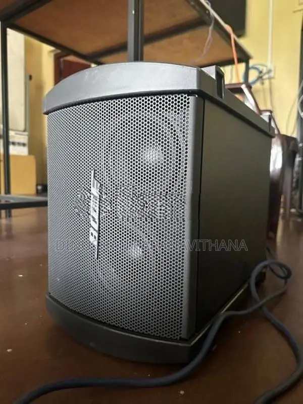 Bose L1 Model II System