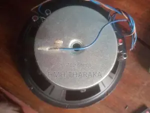 Jaudio 10 Inch Speaker