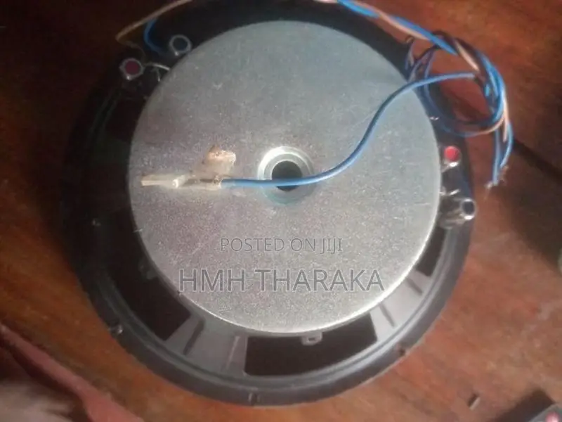 Jaudio 10 Inch Speaker