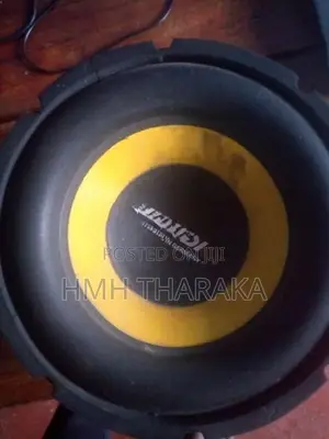 Jaudio 10 Inch Speaker