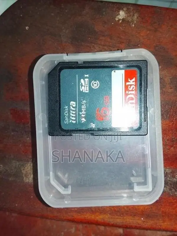 Sandisk