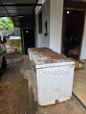 Double Door Deep Freezer